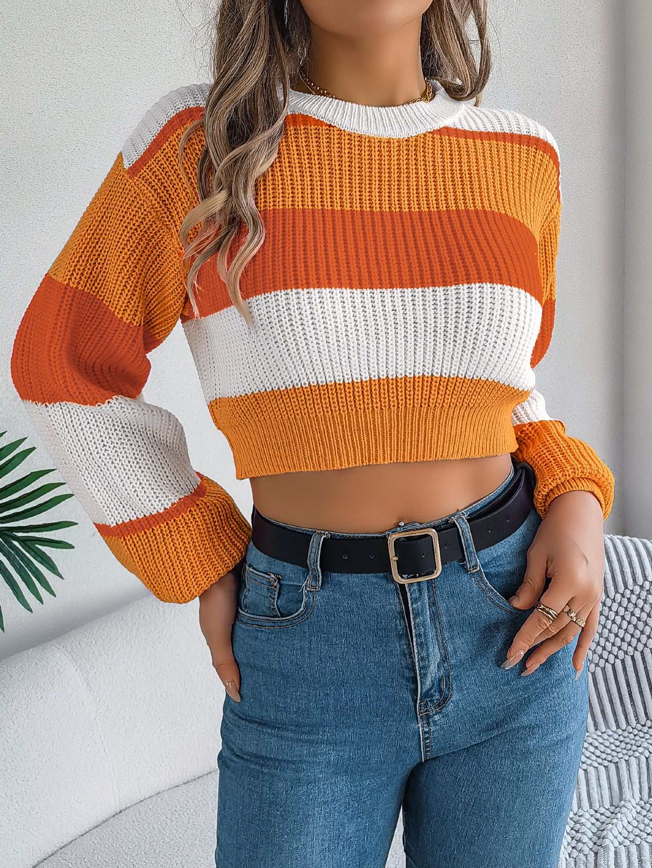 Casual Color-Block Lantern Sleeve Cropped Sweater